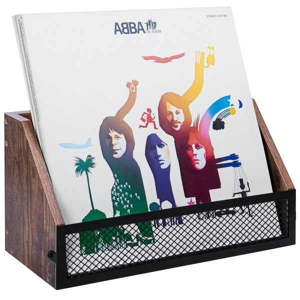 Vinyl Record Storage Shelf with ABBA record showing